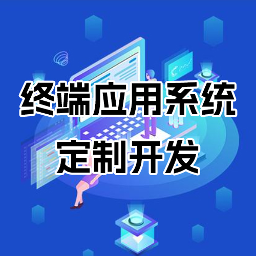 終端應用系統(tǒng)定制開發(fā)
